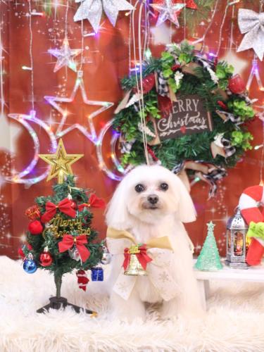 20231216心琴ちゃん